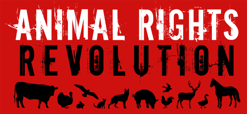 animalrights2.jpg