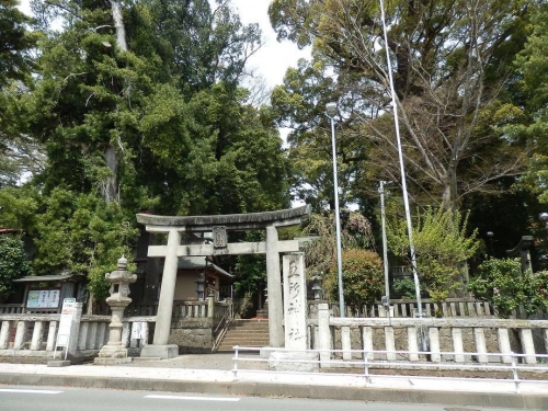 shrine-kanagawa-04.jpg