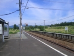 t-nakagawa02.jpg