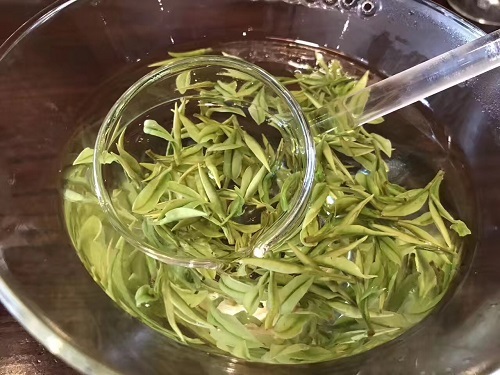 緑茶新茶器3