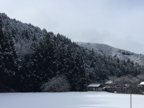 黒滝村 雪景色
