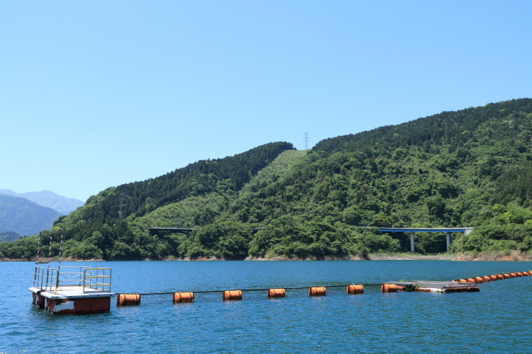宮ヶ瀬湖２-Ss