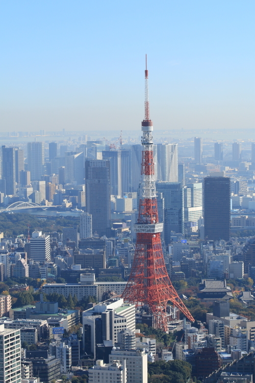 東京タワーと増上寺-SSS