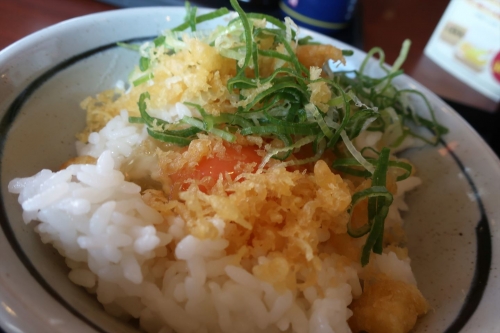 丸亀製麺55 (20)