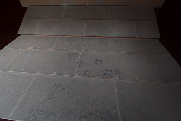 太神社屋根の猫の足跡