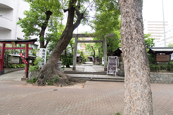 洲嵜神社