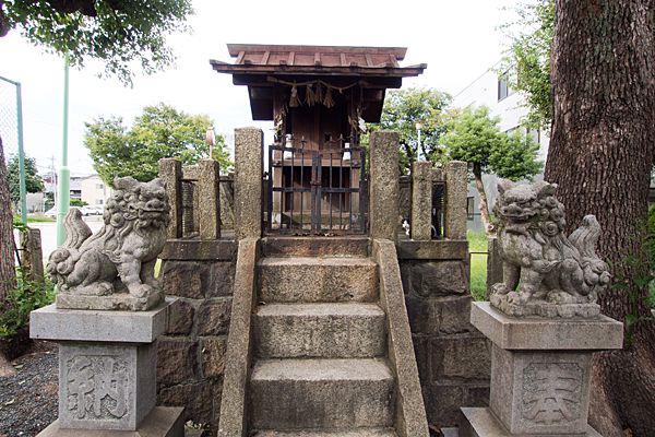 浮島神社狛犬と本社