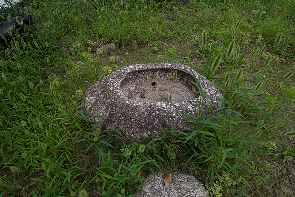 中須齊宮社枯れた手水舎の鉢