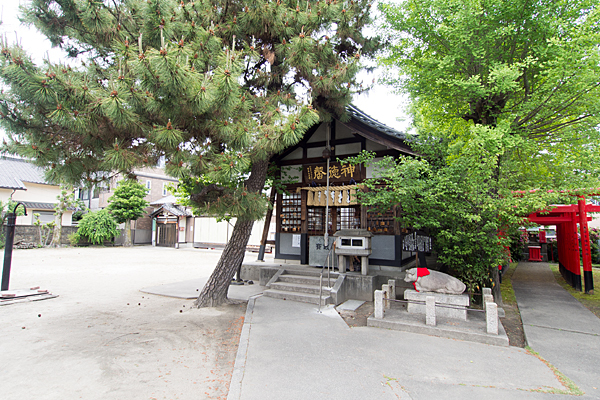 中村天神社拝殿と松の木