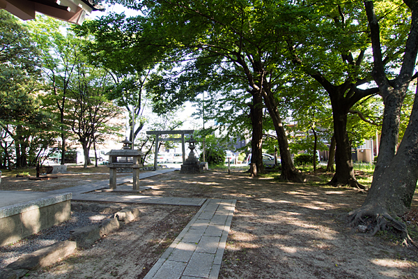 小塚町若宮八幡社境内の風景