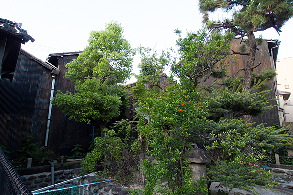 太閤厳島社神社の杜