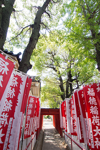 西古渡神社のぼりと木々
