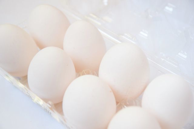 白い 卵