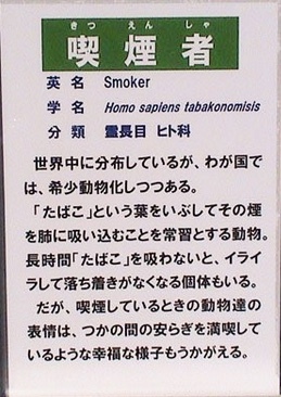 smoker.jpg